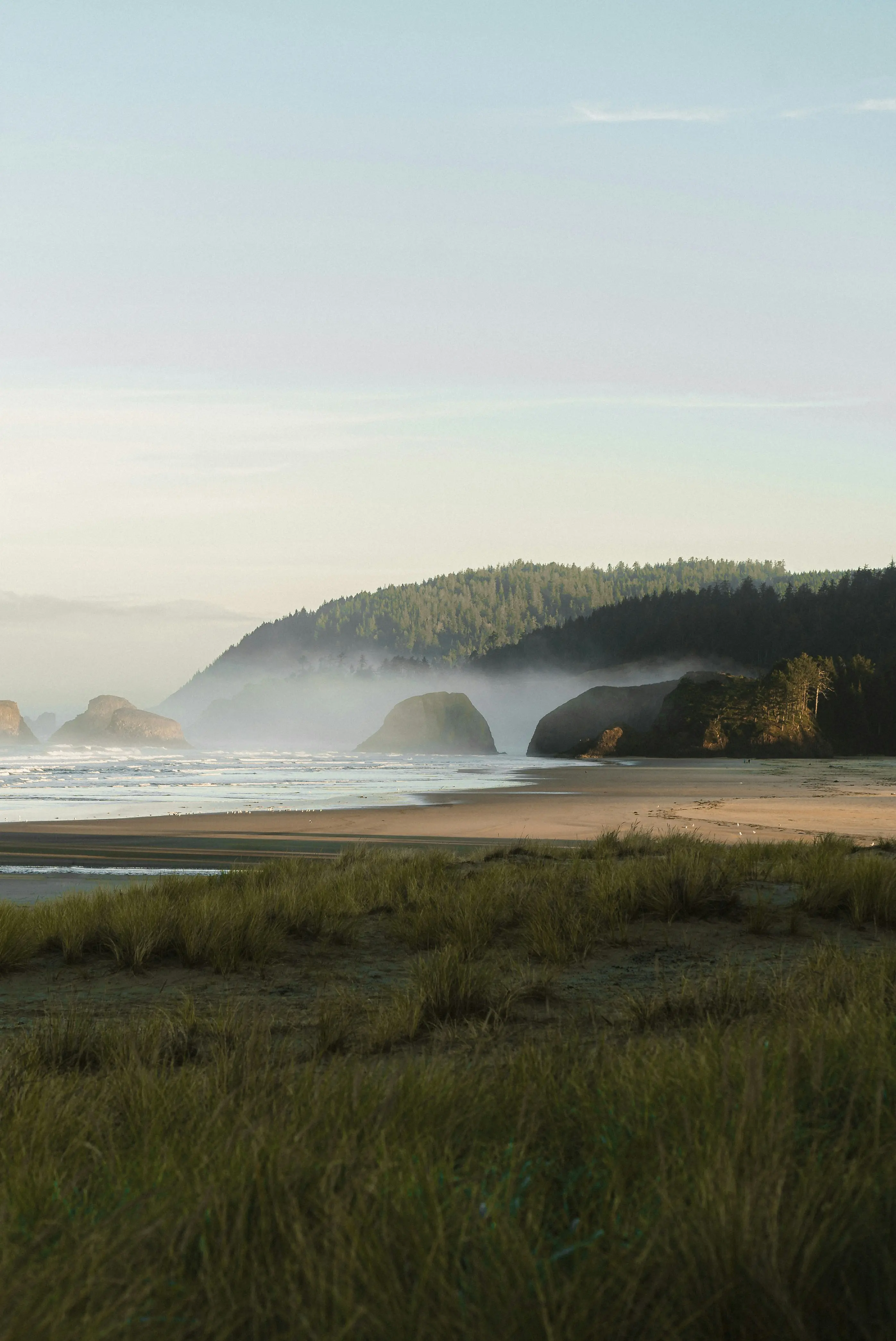 Apps just got better.